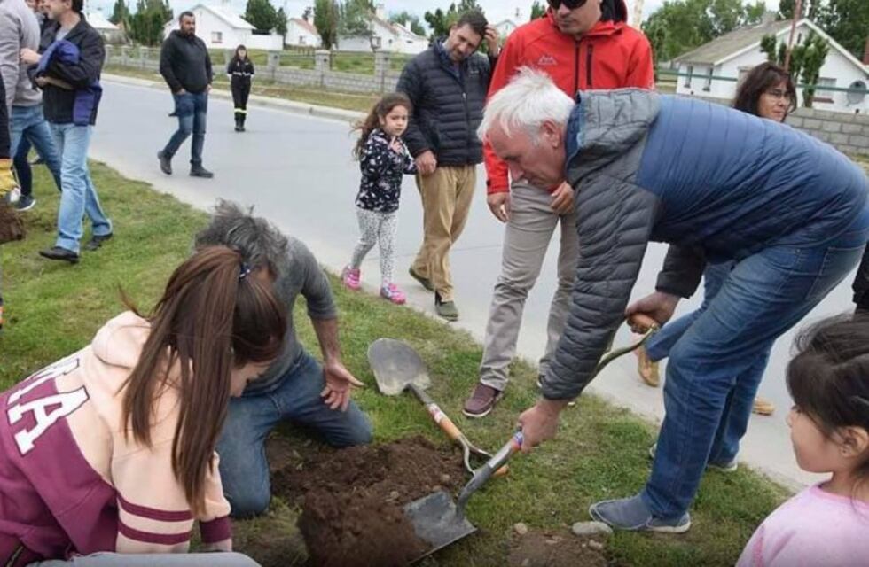 Forestaron el bulevar de Ríquez