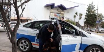 El perro fue trasladado en un patrullero\u002E
