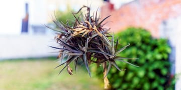 Rumbos en casa\u002E