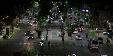 Una palmera del bulevar Oroño se volvió viral en las redes: ¿qué le pasó?
