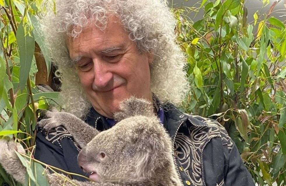 El guitarrista de "Queen" tocó un solo para un koala rescatado de los incendios de Australia
