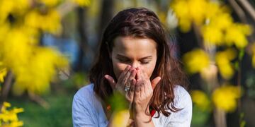 Alergia primaveral