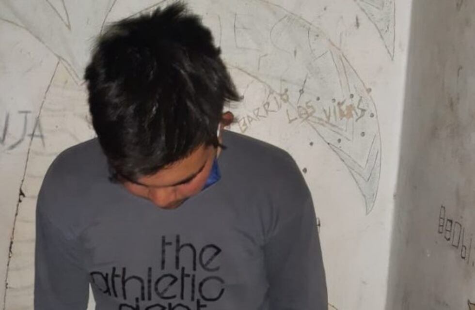 Un niño de 13 años y su abuelo atraparon al ladrón que le robó la patineta