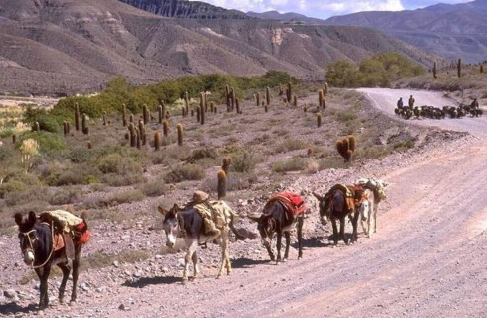 Impulsan obras de conservación del Qhapaq Ñan