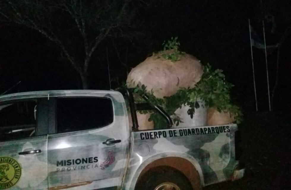 Incautaron 700 kilos de yerba mate en San Pedro