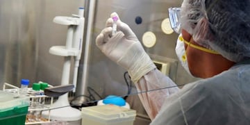 Nuevos casos positivos en La Pampa (APN)