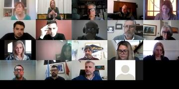 Consejo Consultivo virtual