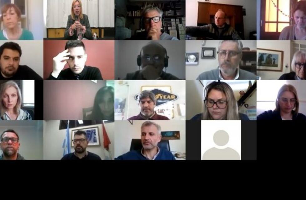 Nueva reunión del Consejo Consultivo con la pandemia como eje central