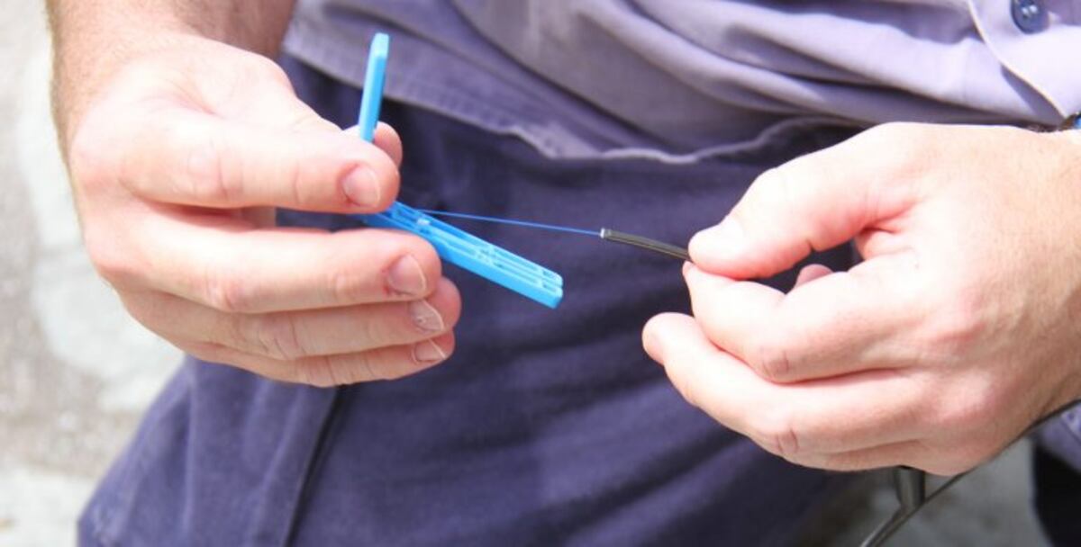 fibra óptica en Esquel