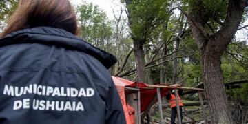 Desarme Ushuaia (web)