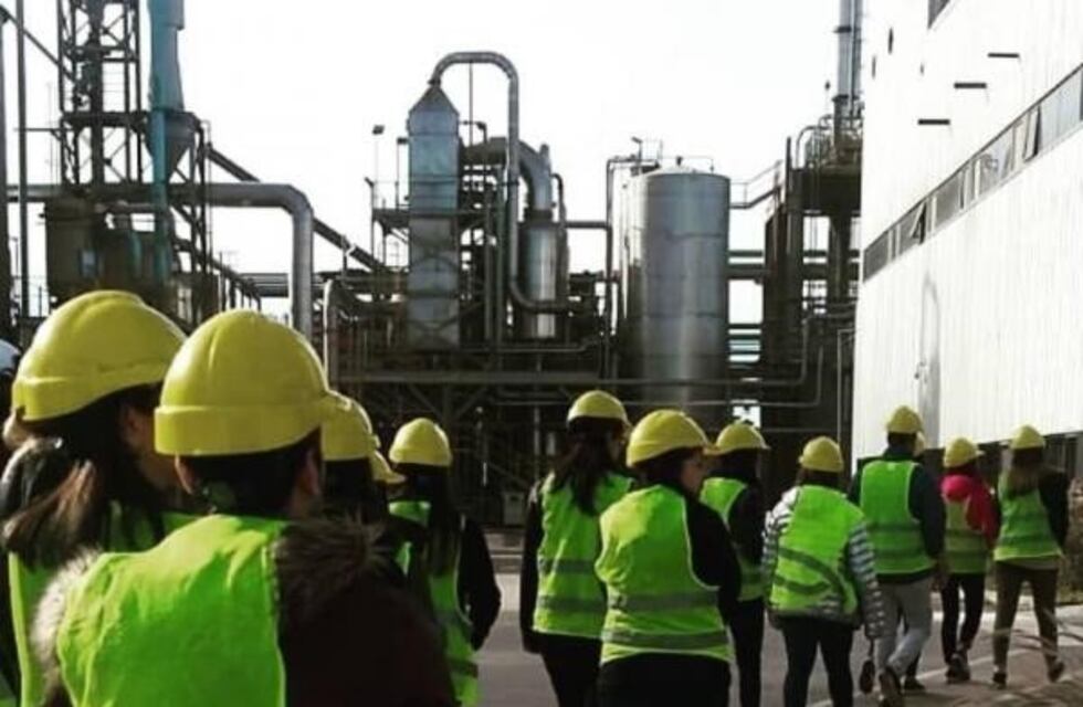 La empresa Porta pidió el concurso preventivo de acreedores