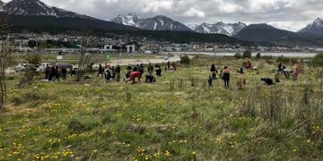 Semana del Prematuro - Fundación ABE