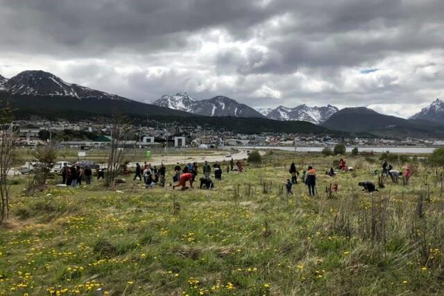 Semana del Prematuro - Fundación ABE