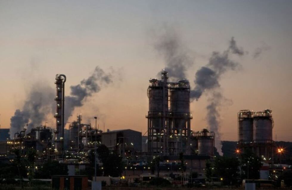 Agricultura realizó 15 inspecciones en molinos harineros de Entre Ríos