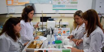 Investigadores de la UNLP encontraron la receta para hacer dieta con cerveza\u002E