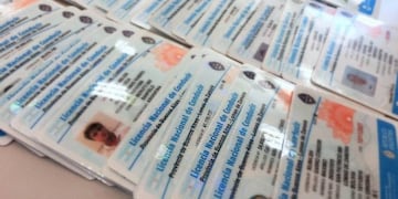 Carnet de conducir, Tolhuin\u002E