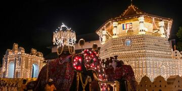 TOPSHOT - In this photograph taken on August 14, 2019 elephants decorated for the \