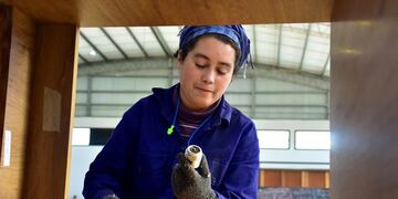 La Escuela Universitaria de Oficios ofrece 18 propuestas de capacitación gratuita (UNLP)