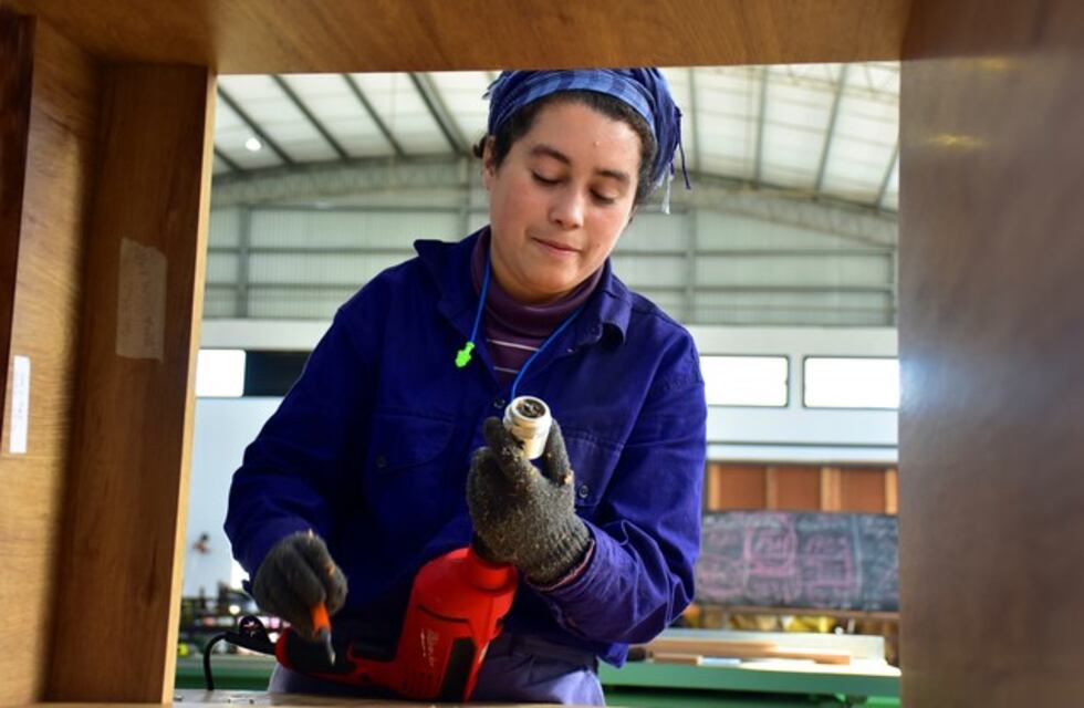 Unos 750 alumnos cursan en la Escuela de Oficios de la Universidad Nacional de La Plata en forma virtual