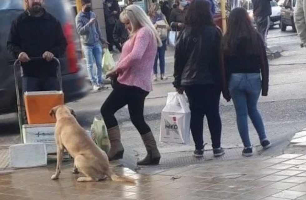 Una mujer conmueve en las redes por comprarle empanadas a un perro