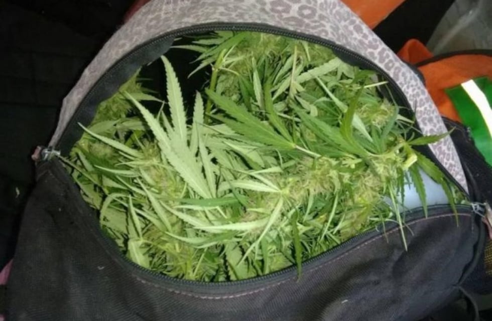 Golpeó a un menor con un palo en la cabeza y ambos fueron detenidos