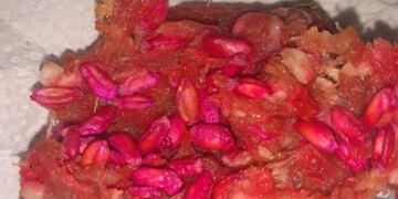 Envenenan animales en Tunuyán, Mendoza\u002E