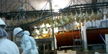 Conflicto Frigorifico San José\nCrédito: Génesis24