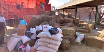 Donaciones animales UCC