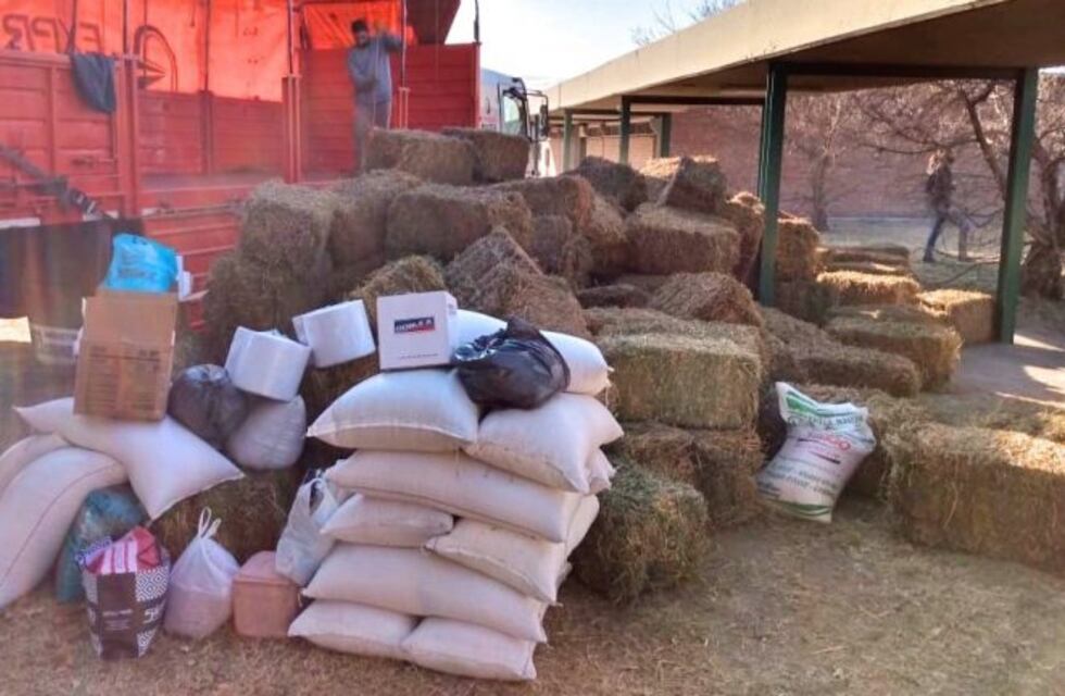 Lanzan una campaña de donación para ayudar a los animales afectados por el fuego