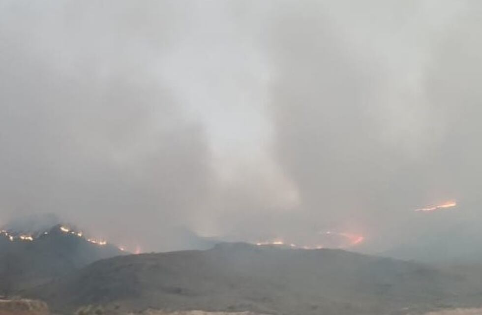 Con gran esfuerzo de bomberos, controlaron el incendio en Berrotarán
