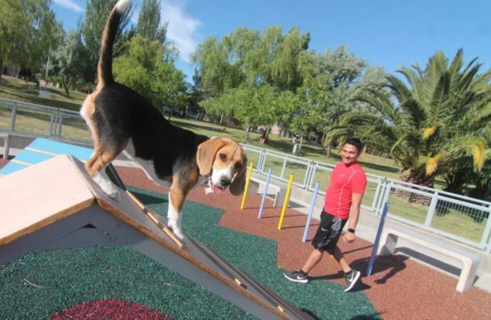 Inauguran en Neuquén una plaza exclusiva para perros