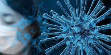 Coronavirus\u002E