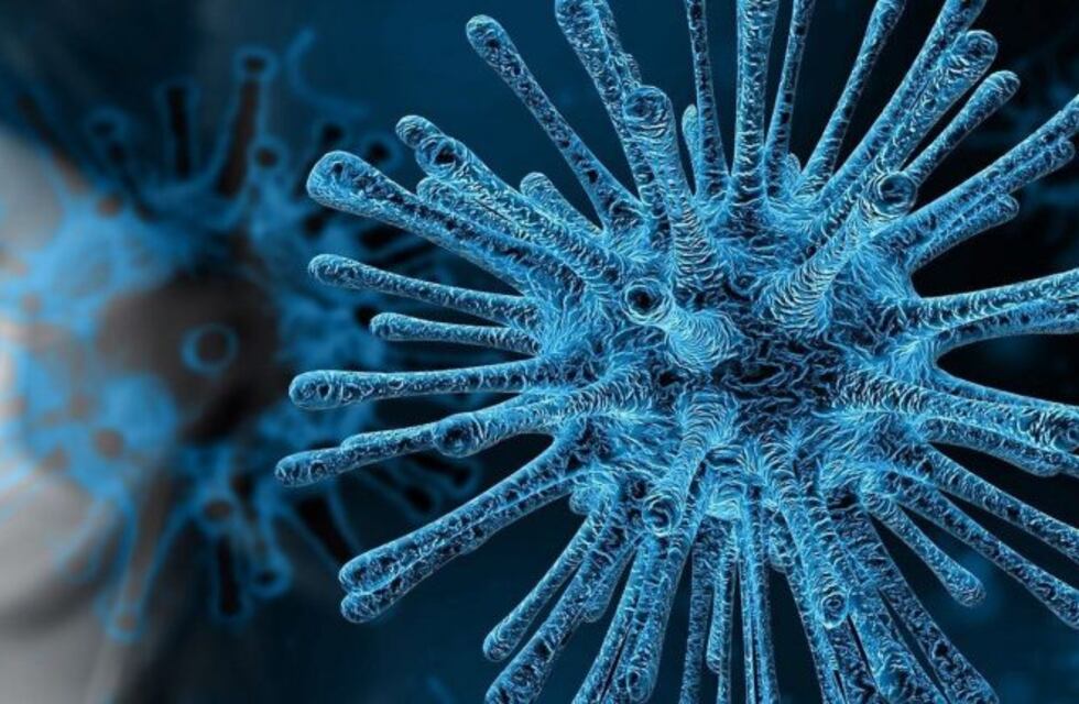 Coronavirus: Mendoza continúa sin tener casos positivos