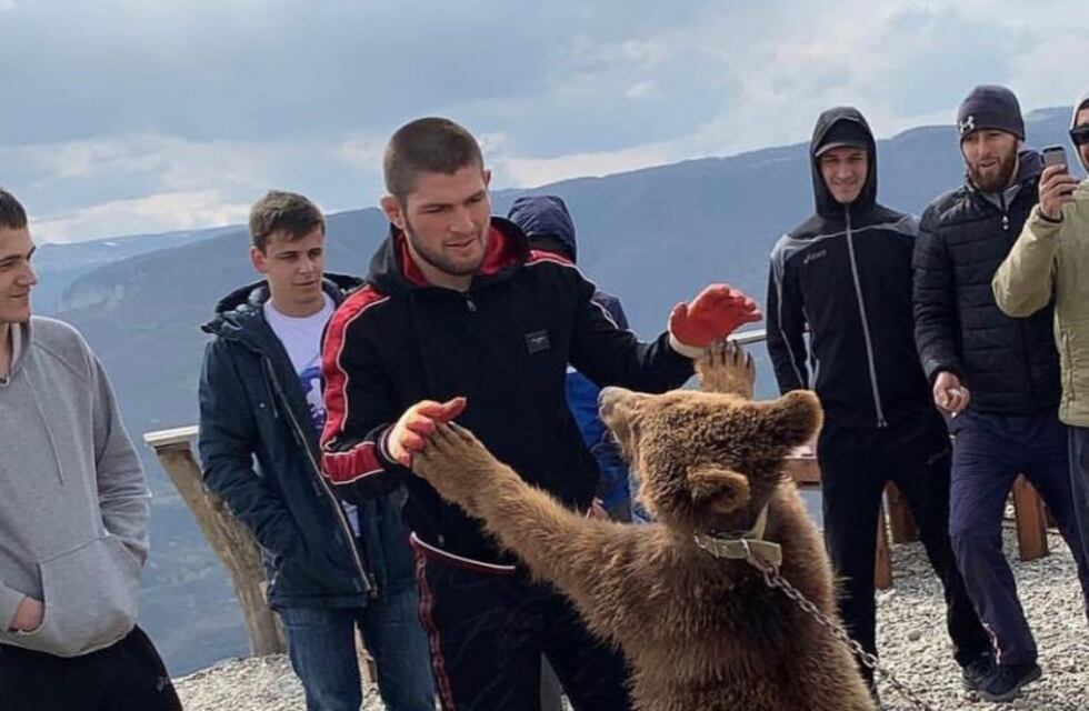 Maltrato animal: un luchador de la UFC se grabó peleando con un oso encadenado