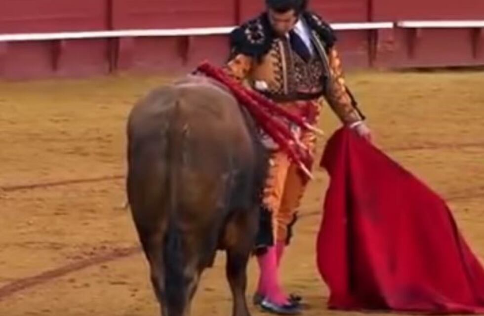 Un torero le secó las lágrimas a un toro antes de matarlo
