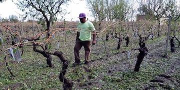 Abrieron la inscripción para el Seguro Agrícola para la temporada 2022-2023.