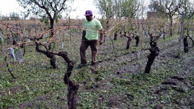 Abrieron la inscripción para el Seguro Agrícola para la temporada 2022-2023.