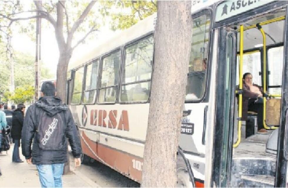 Garantizaron el normal funcionamiento de colectivos hasta el 20 de enero