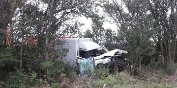 Utilitario incrustado en arboleda, Leones