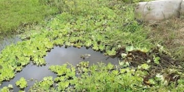 Encontraron el cuerpo sin vida en un hombre en una zanja