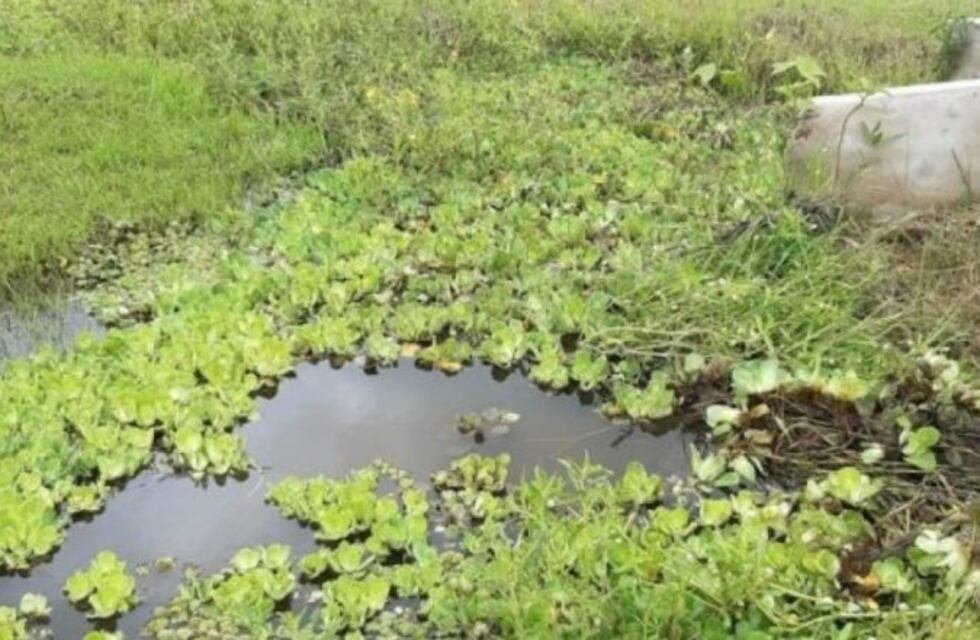 Encontraron el cuerpo de un hombre sin vida en una zanja