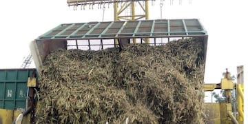 Molienda de caña de azúcar en el ingenio Ledesma, Jujuy