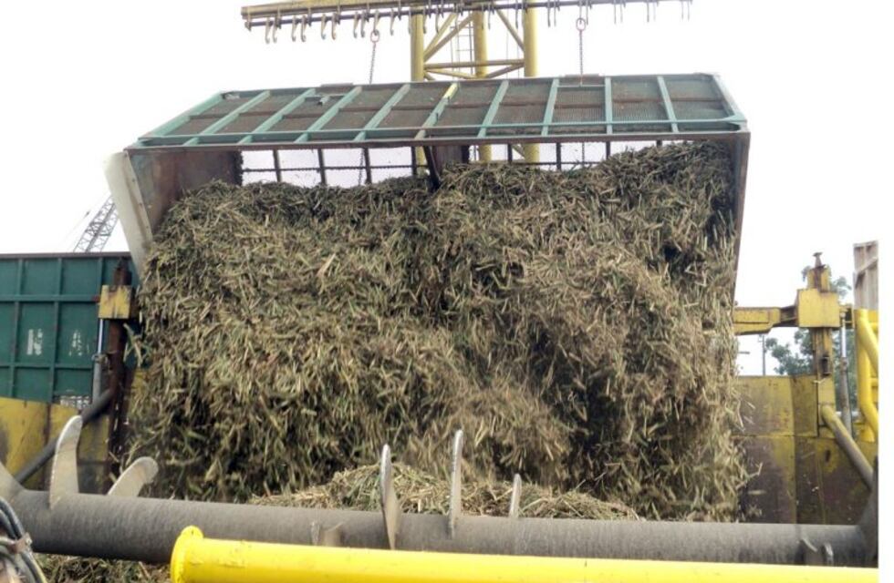 "Cultivando energía", un nuevo concepto en la producción cañera