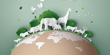 Día Mundial del Medio Ambiente 2020