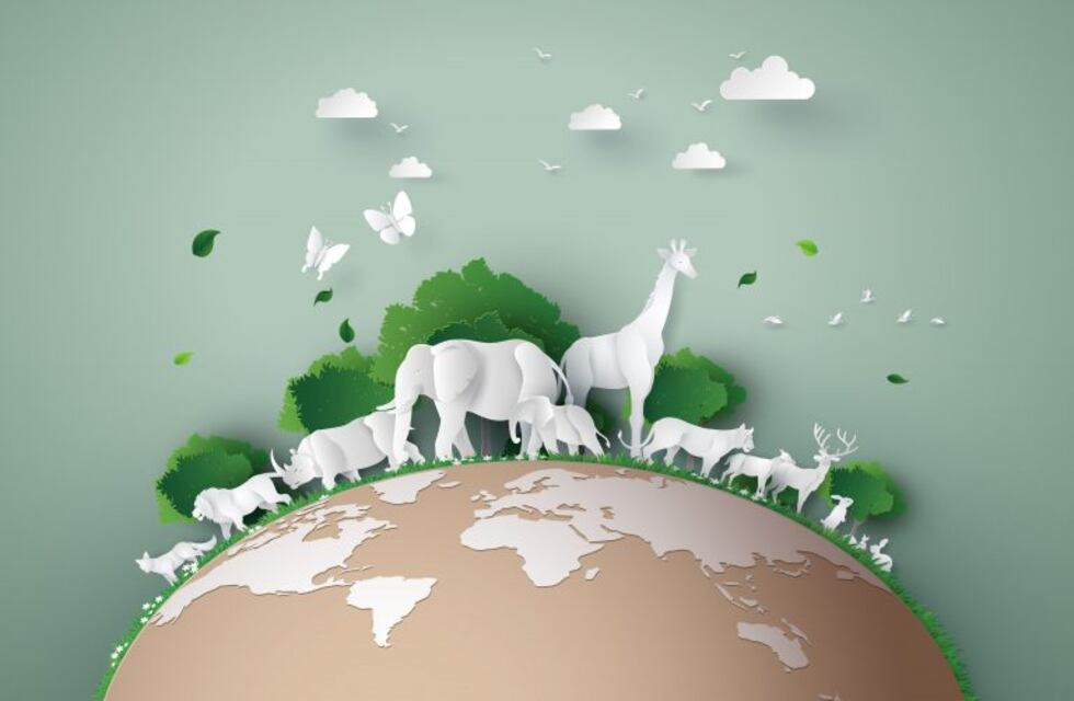 Día Mundial del Medio Ambiente: Azulay reflexionó sobre el nuevo paradigma de uso de los recursos naturales