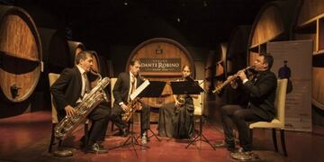 El Festival de Música clásica por lo caminos del vino fue un éxito\u002E