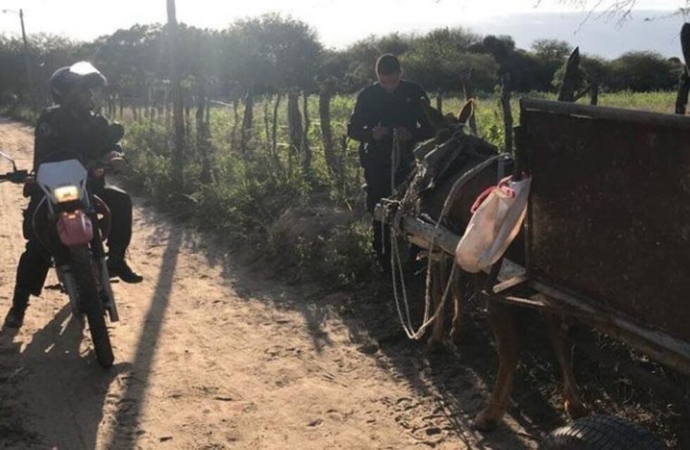 Insólito: en plena cuarentena organizaron carreras de caballo y quedaron detenidos