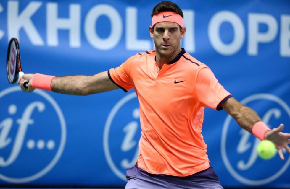 Del Potro superó a Dimitrov y es finalista del abierto de Estocolmo