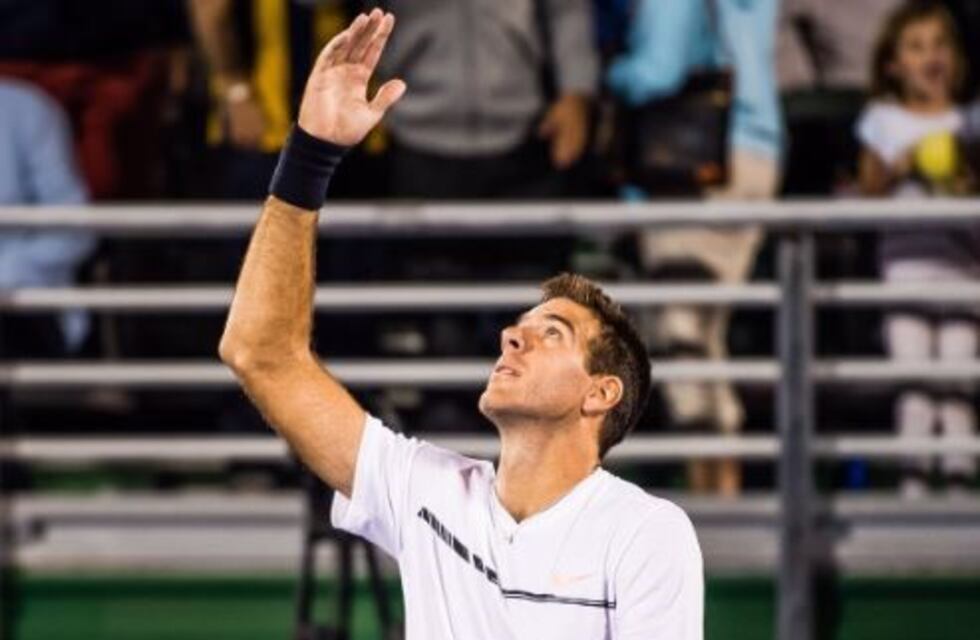 En su regreso al circuito Del Potro venció a Anderson en Delray Beach