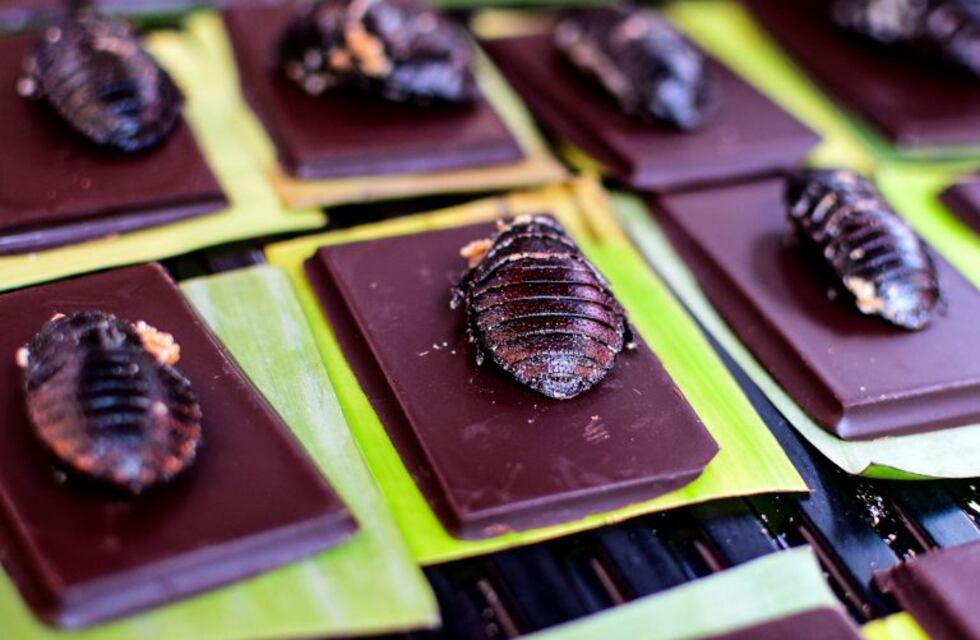 Las delicias más raras del mundo